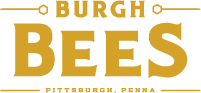 Burgh Bees Logo