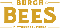 Burgh Bees Logo